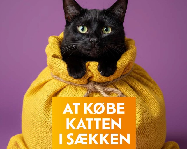 cover dansk katten